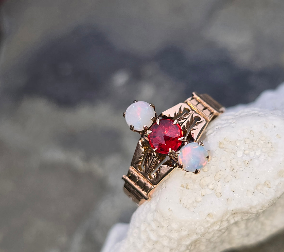 20240517-104334_1200x1200.jpg?