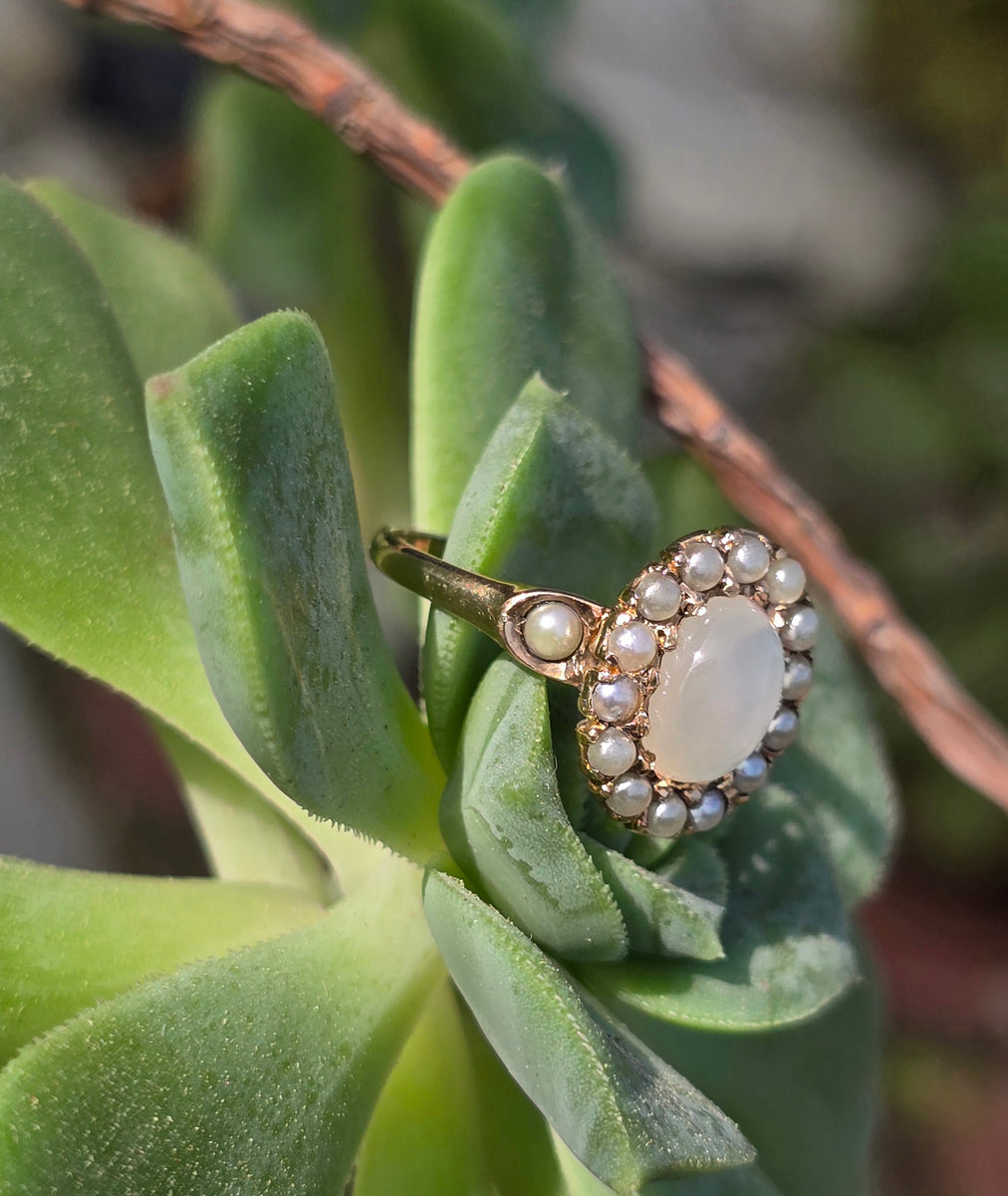 10k gold Victorian moonstone & seed pearl ring – Rambling Rose