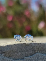 14k white gold diamond studs earrings - .46ct tw