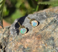 14k gold 3mm opal bezel studs