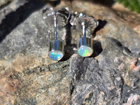 14k white gold 3mm opal bezel studs