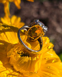 14k white gold citrine filigree Deco c.1920's estate ring
