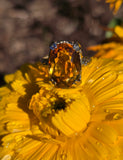 14k white gold citrine filigree Deco c.1920's estate ring