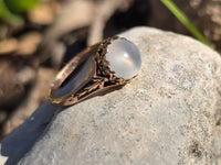 14k gold Victorian cat's eye moonstone antique ring