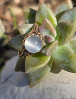 14k gold Victorian cat's eye moonstone antique ring
