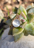 14k gold Victorian cat's eye moonstone antique ring