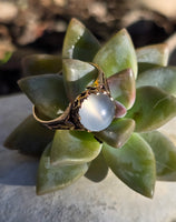 14k gold Victorian cat's eye moonstone antique ring