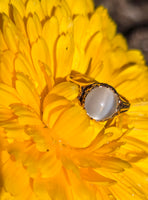 14k gold Victorian cat's eye moonstone antique ring