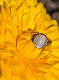 14k gold Victorian cat's eye moonstone antique ring
