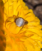 14k gold Victorian cat's eye moonstone antique ring