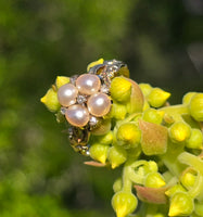 15ct gold Victorian rose cut diamond and pearl ring