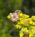 15ct gold Victorian rose cut diamond and pearl ring