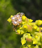 15ct gold Victorian rose cut diamond and pearl ring