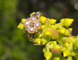 15ct gold Victorian rose cut diamond and pearl ring