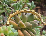 14k gold hinged bangle diamond estate bracelet