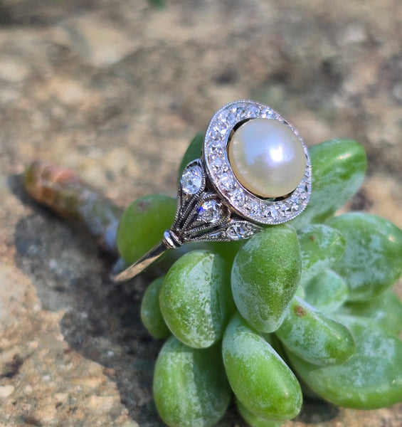 platinum Edwardian pearl and old cut diamond antique halo ring HOLD