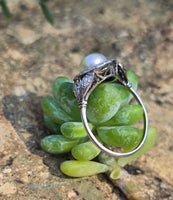 platinum Edwardian pearl and old cut diamond antique halo ring HOLD