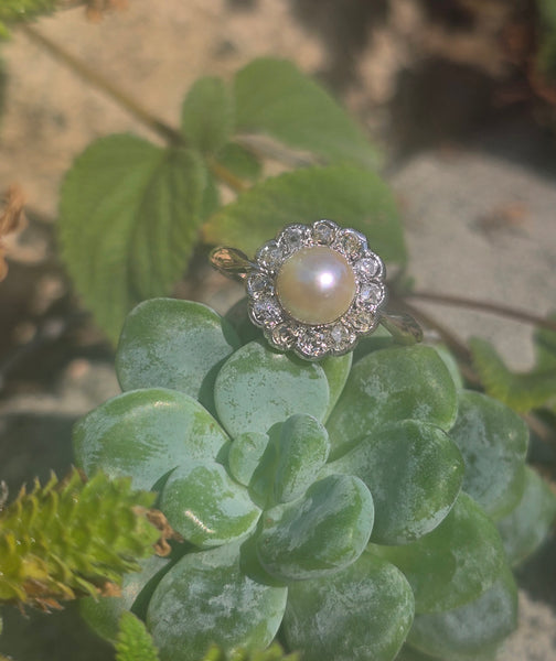 silver top and 10ct gold two tone pearl and old cut diamond antique halo ring