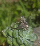 14k gold two tone Deco filigree diamond glove shield estate ring