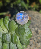 14k gold man in the moon carved quartz face antique ring