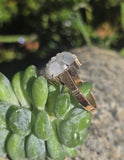 14k gold man in the moon carved quartz face antique ring