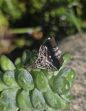 14k white gold antique onyx diamond and pearl Edwardian floral filigree ring