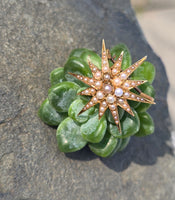 14k gold Victorian seed pearl starburst necklace pendant lavaliere pin