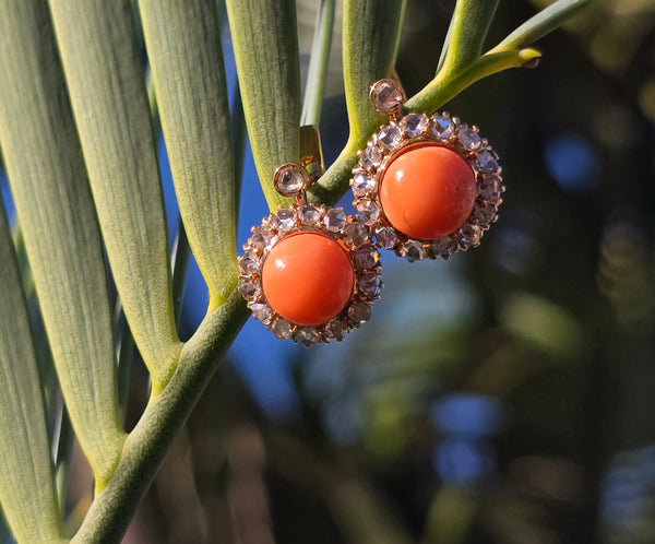 18ct gold coral & rose cut diamond Edwardian halo earrings