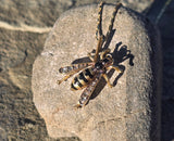 18ct gold Victorian BEE rose cut diamond and enamel antique pendant necklace 🐝