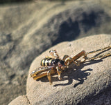 18ct gold Victorian BEE rose cut diamond and enamel antique pendant necklace 🐝