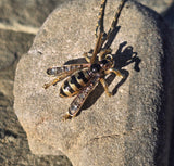 18ct gold Victorian BEE rose cut diamond and enamel antique pendant necklace 🐝