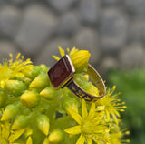 10ct gold Victorian carved carnelian intaglio ring