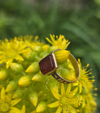 10ct gold Victorian carved carnelian intaglio ring