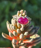14k gold cabochon ruby filigree ring
