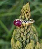 14k gold cabochon ruby filigree ring