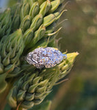 platinum filigree c.1920's Art Deco diamond estate ring Hold