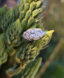 platinum filigree c.1920's Art Deco diamond estate ring Hold