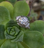 platinum c.1920's Art Deco diamond engagement ring - apx 2.04ct tw
