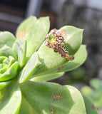 10k gold Victorian peridot and diamond antique ring HOLD