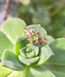 10k gold Victorian peridot and diamond antique ring HOLD