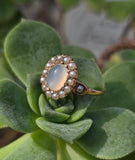 10k gold Victorian moonstone & seed pearl ring