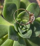 10k gold Victorian moonstone & seed pearl ring