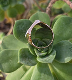 10k gold carved black & white horse cameo estate ring