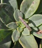 14k yellow gold diamond eternity band - size 7.25