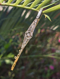 platinum & 18ct gold two tone antique diamond bracelet