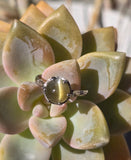 platinum cabochon cat's eye chrysoberyl solitaire estate ring