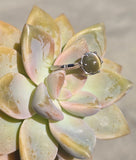 platinum cabochon cat's eye chrysoberyl solitaire estate ring