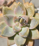 platinum cabochon cat's eye chrysoberyl solitaire estate ring