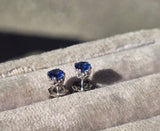 14k white gold blue sapphire scroll stud earrings