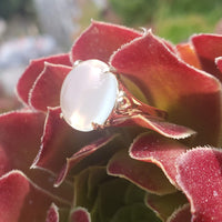 14k gold cabochon cat's eye mooonstone estate ring